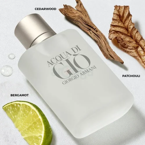 Armani Acqua di Giò EDT nirisne note
