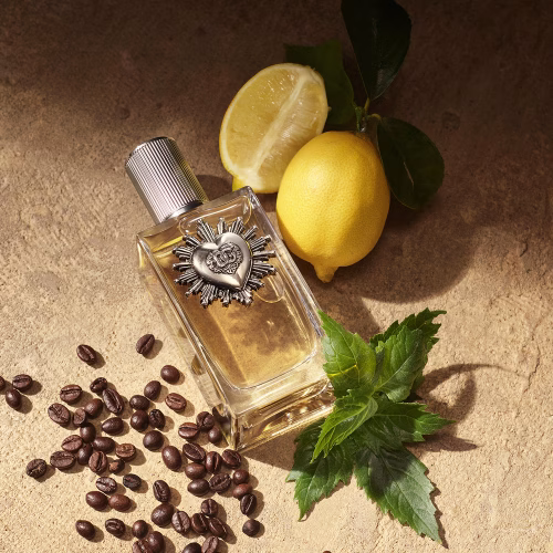 Sastav mirisa Dolce&Gabbana Devotion Pour Homme EDP sa notama bergamota, kardamoma, jasmina, sandalovine i vetivera