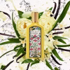 Gucci Flora Gorgeous Orchid mirisne note – orhideja, jasmin, ylang-ylang, mandarina, bergamot, vanila i sandalovina prikazani zajedno kako bi dočarali egzotičnu, cvetno-kremastu strukturu parfema.