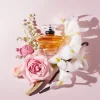 Lancome Tresor edp Mirisne note parfema Lancôme Trésor EDP – ruža, iris i vanila