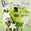 Valentino Donna Born In Roma Green Stravaganza EDP parfem – detalj bočice, V slovo i mirisne arome.