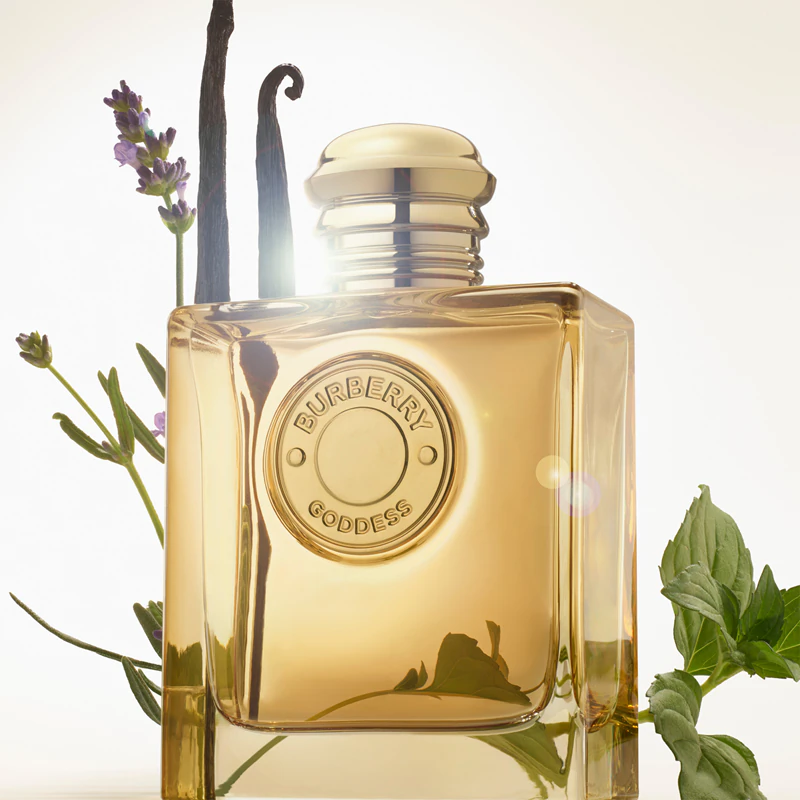 Burberry Goddess Intense EDP – intenzivan parfem sa dominantnom vanilijom vanila + mlečne note