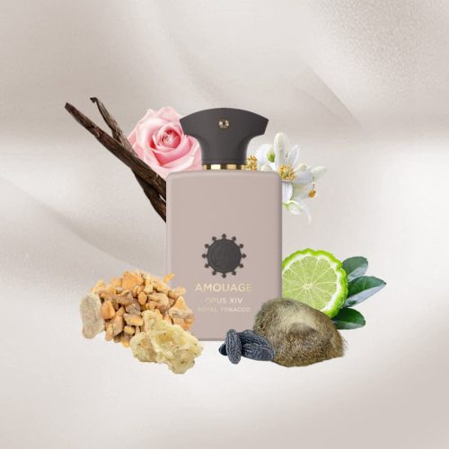 Amouage Opus XIV Royal Tobacco mirisne note