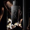Mirisne note YSL MySLF Le Parfum muški parfem – Vizualni prikaz nota: bergamot, jasmin, sandalovina, amber i tonka u parfemu za muškarce.