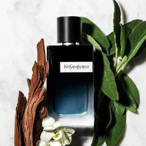 Mirisne note YSL Y EDP muški parfem – Vizualni prikaz nota: citrus, lavanda, sandalovina i tonka u parfemu za muškarce.