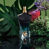 Le Beau Le Parfum EDP drvenasto‑orijentalni miris, mirisne note