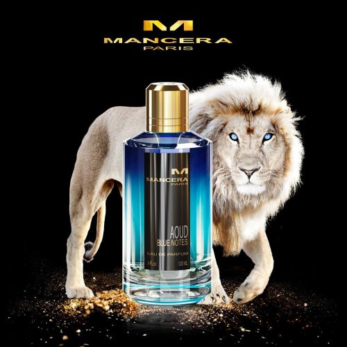 Luksuzna prezentacija MANCERA Aoud Blue Notes – muški parfem za posebne prilike, beli lav i bocica parfema