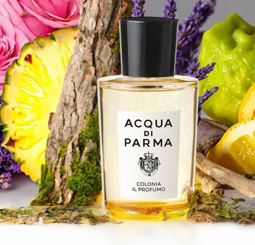 Acqua di Parma Colonia Il Profumo EDP luksuzni citrusni parfem, mirisne note