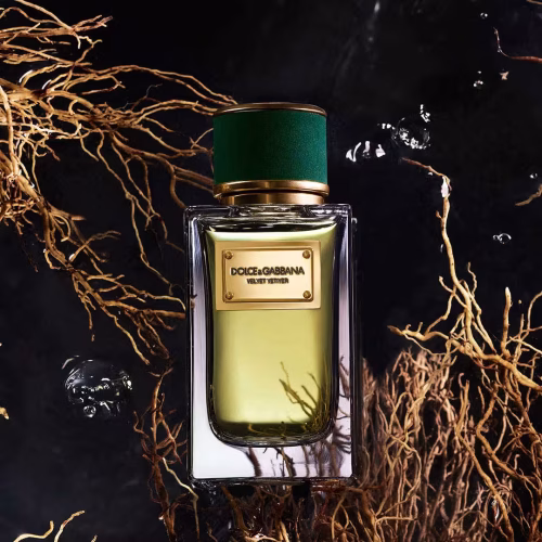 Dolce&Gabbana Velvet Vetiver EDP luksuzan muski parfem toptaurus.rs Dolce&Gabbana Velvet Vetiver premium niche parfem sa notama smokve i vetivera