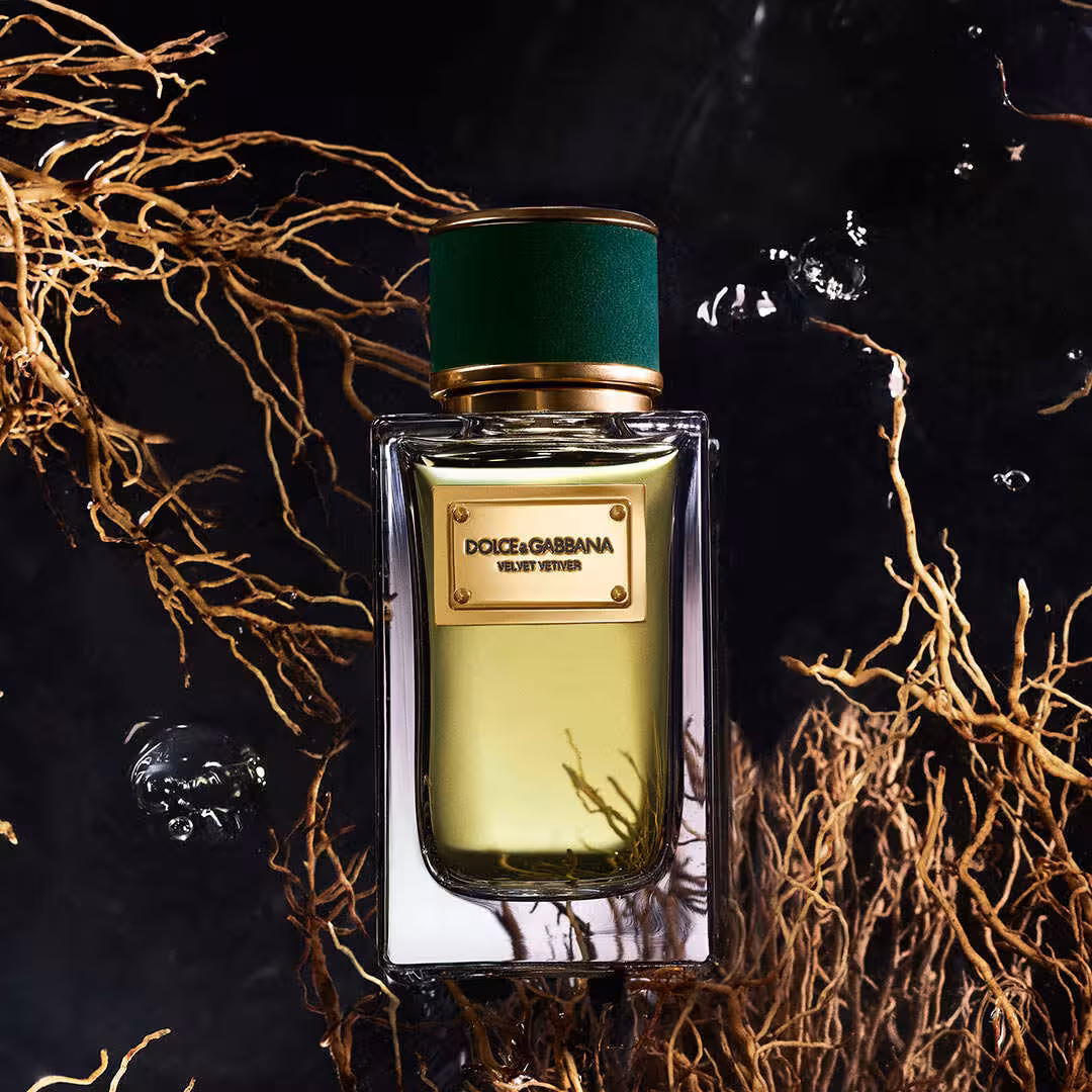 Dolce&Gabbana Velvet Vetiver premium niche parfem sa notama smokve i vetivera