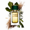 Dolce&Gabbana Velvet Vetiver EDP luksuzan muski parfem toptaurus.rs 1 Velvet Vetiver EDP luksuzni drvenasto-zeleni miris, citrusne i sveže mirisne note parfem za leto