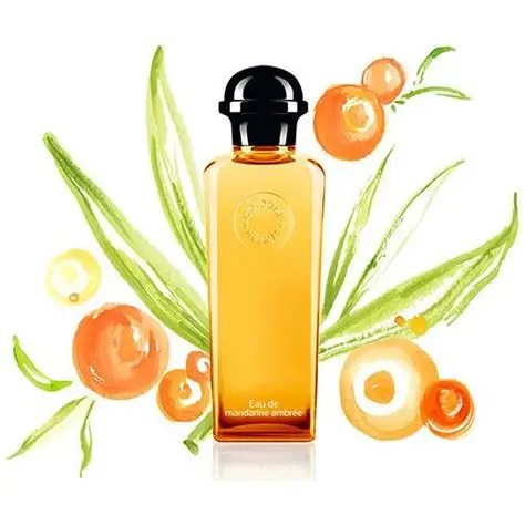Hermès citrusni parfem sa notom mandarine akvarel slika