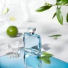 Azzaro Chrome Eau de Toilette – svež citrusno-akvatični parfem za muškarce.