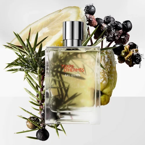 Hermes Terre d Hermes Eau Givree EDP muski parfem toptaurus.rs 1 Hermès Terre d'Hermès Eau Givrée citrusno-drvenasti parfem, mirisne note