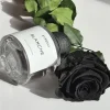 Byredo Blanche Absolu uniseks parfem mirisne note aldehidi ruža ljubičica jasmin i mošus