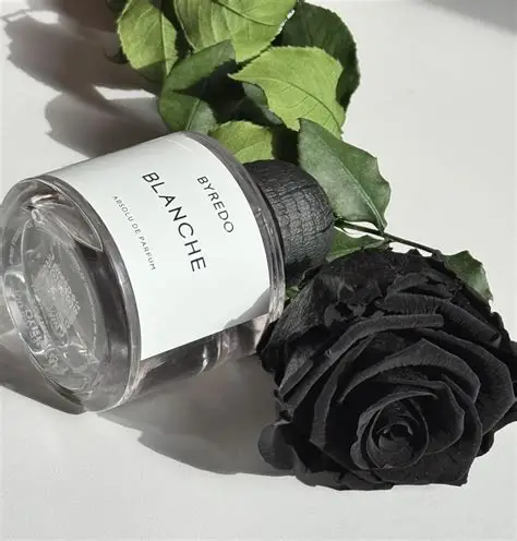 Byredo Blanche Absolu uniseks parfem mirisne note aldehidi ruža ljubičica jasmin i mošus