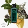 Hermès Eau d’Orange Verte mirisne note narandža menta mahovina i pačuli