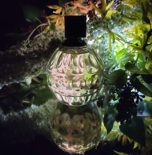 Jimmy Choo EDT ženski parfem mirisne note kruška orhideja ruža mošus i drvenaste note